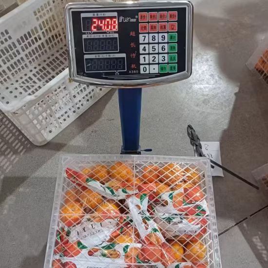 Fábrica de alta qualidade e Hotsell China Fresh Premium Tangerina