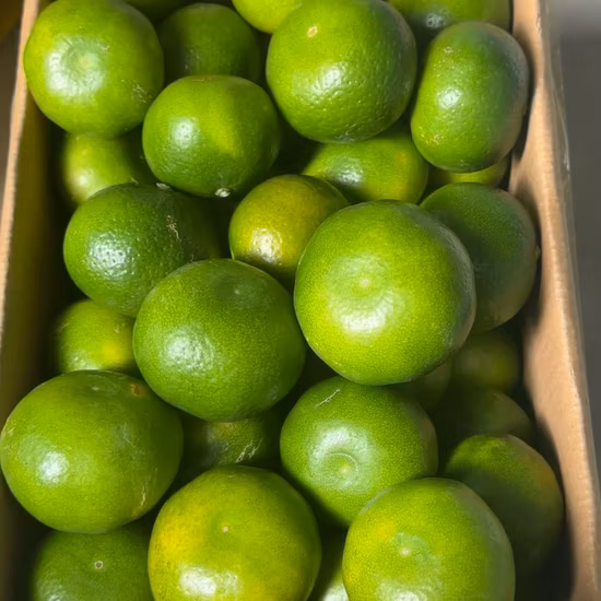 Frutas Secas, Frutas Saudáveis, Tangerina, Baixo So2